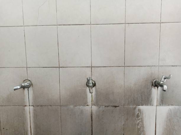 Professional Water damage restoration in Carlisle, AR