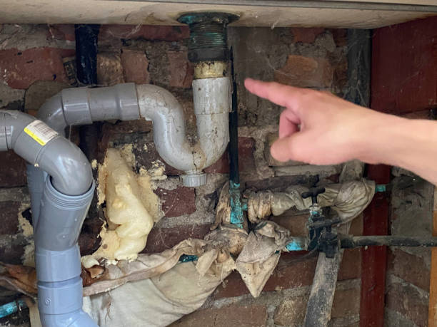 Best Water damage repair service  in Clisle, AR